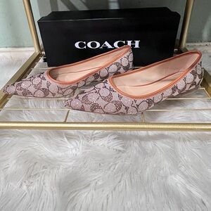 Coach DAPHNE CRSTYL SIG JQ